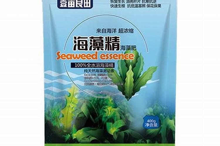 海状元海状元
