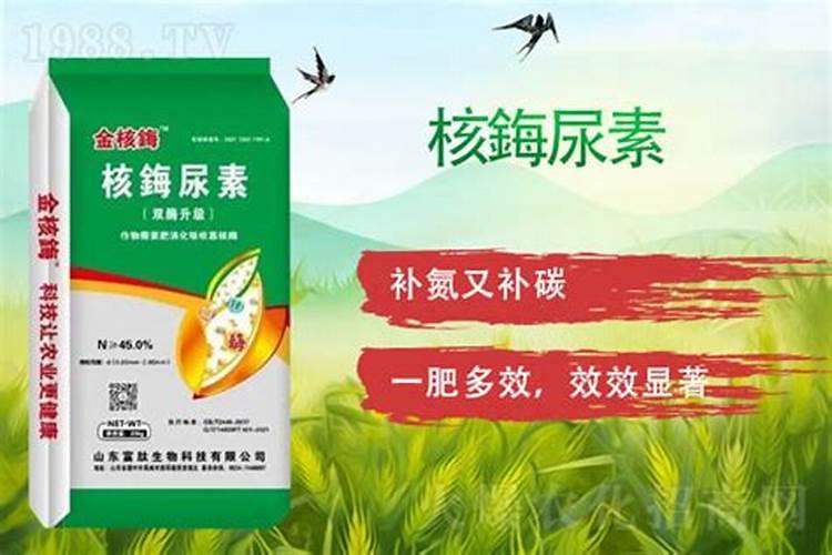 打花苞需要施肥吗