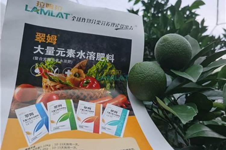 六年脐橙树,高钾肥什么时候施？