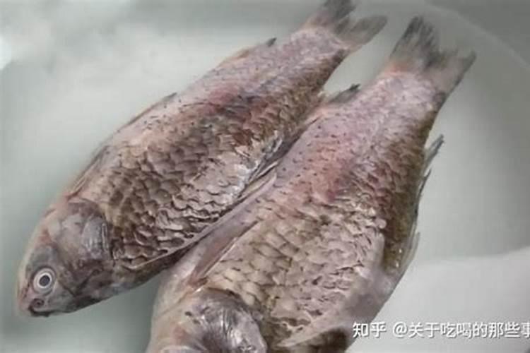 冷冻过的鱼会营养流失吗？