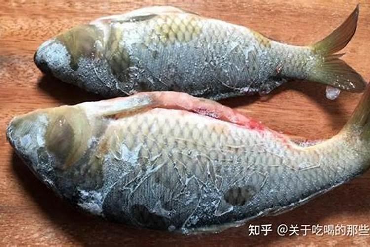 冰冻青占鱼有哪些营养成分？