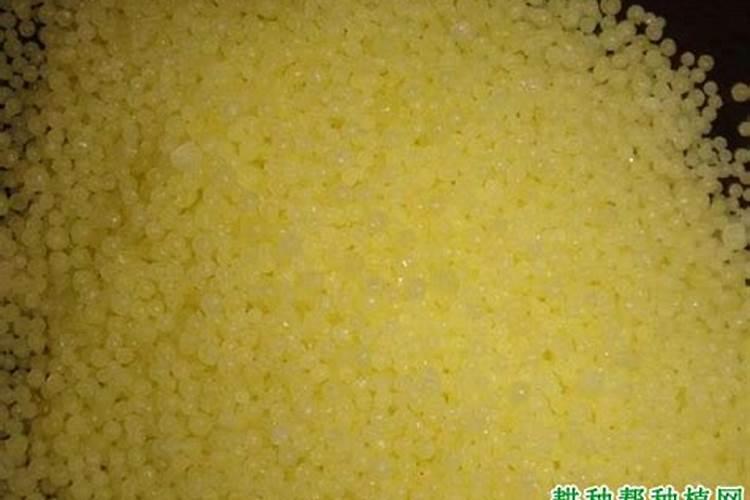 氮肥科学贮存方