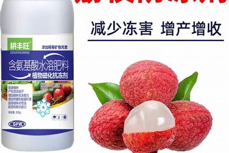 跟海参差不多,海里的这是什么东西活的