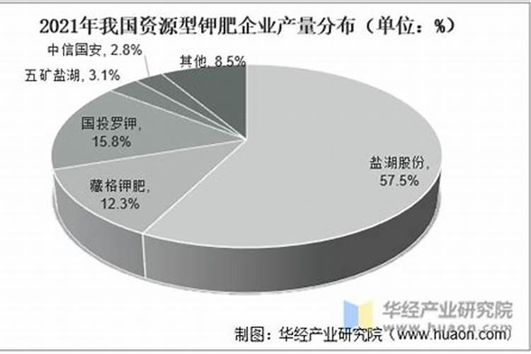 鲁西化工有几个分厂