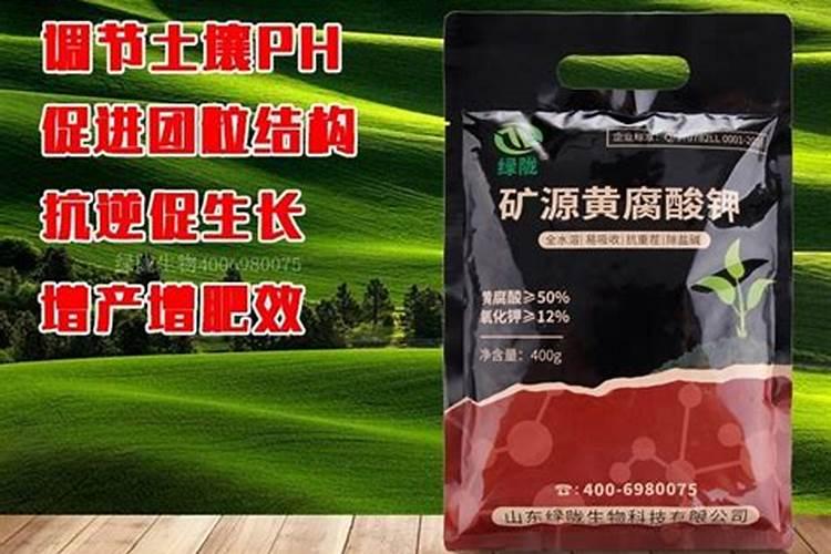 黄腐酸钾可以喷苗吗？