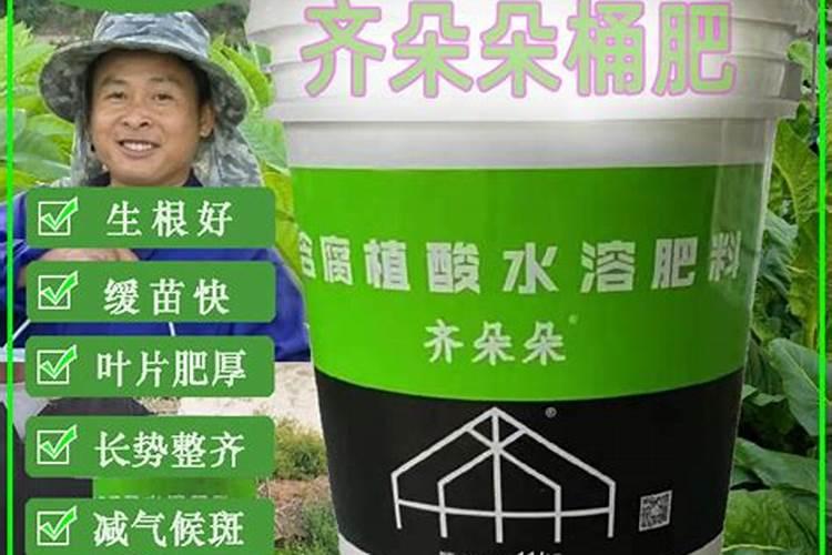 腐植酸水溶肥是什么肥料 腐植酸水溶肥料的作用有哪些