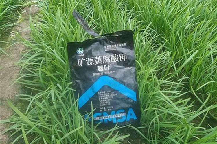 罗布泊水溶肥的核心优势体现在哪些方面？