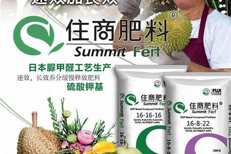 果树膨大期应该施什么肥？