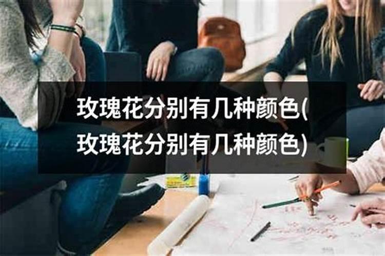 玫瑰花买回来长了两个月的叶子可以放肥料了吗？