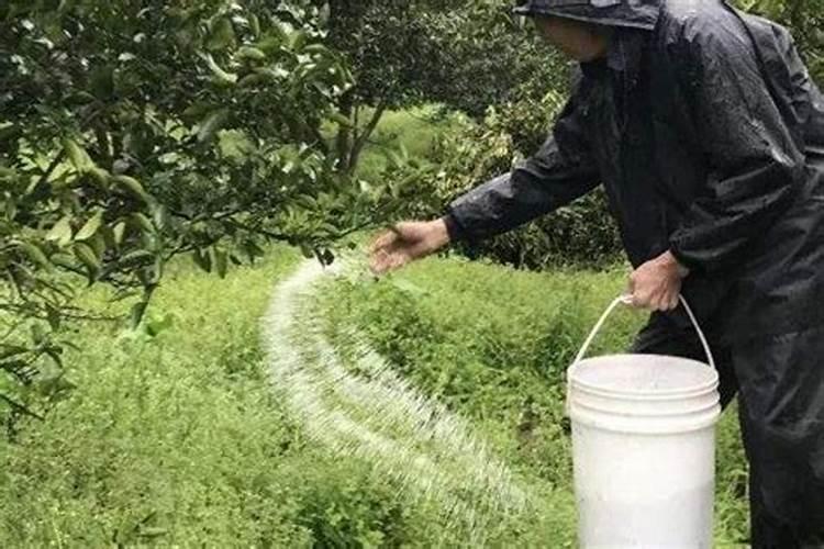 磷肥和钙肥能一起用吗 磷肥是酸性还是碱性的