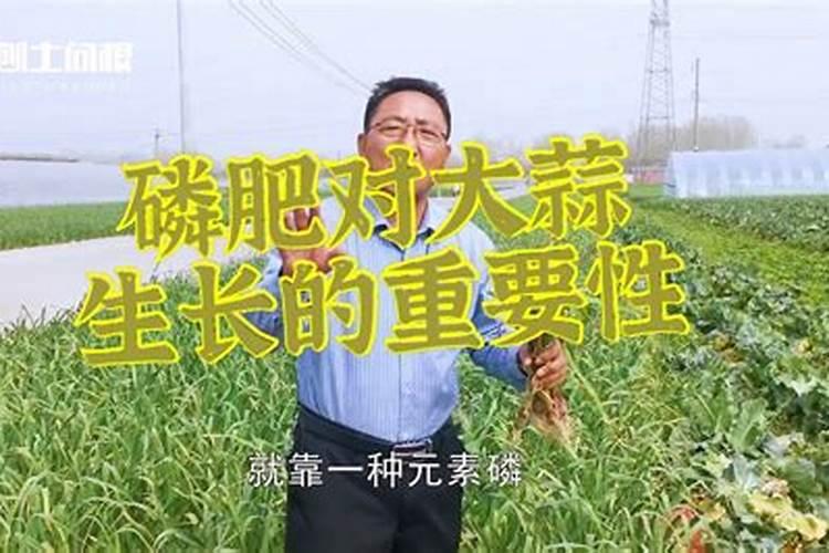 磷肥缺磷症状