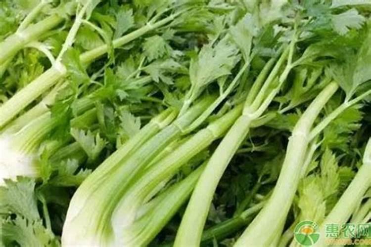 小青菜出苗几天用尿素