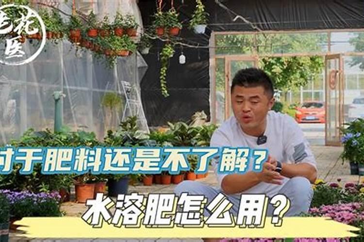 水溶肥给花怎样使用