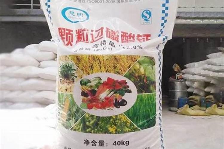 富源二代白魔芋种植用肥技巧