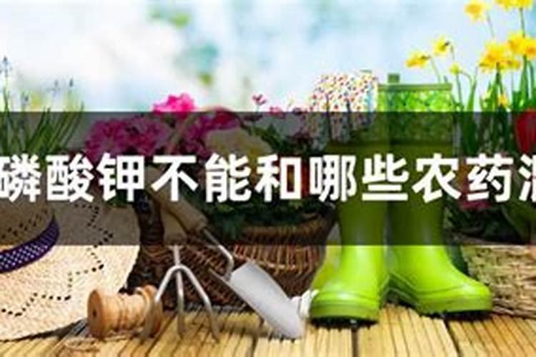 亚磷酸钾不能和哪些农药混用