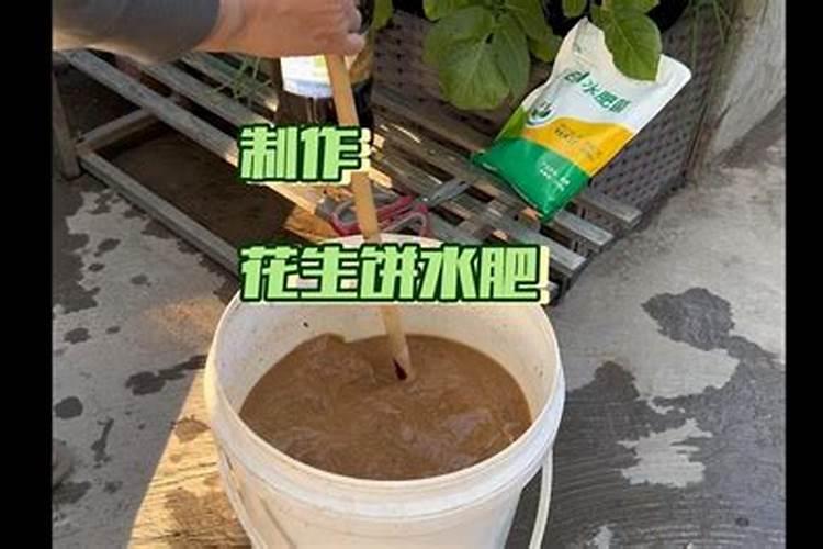 蔬菜如何施肥好