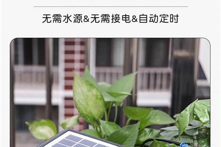 种菜一般都用什么肥料？