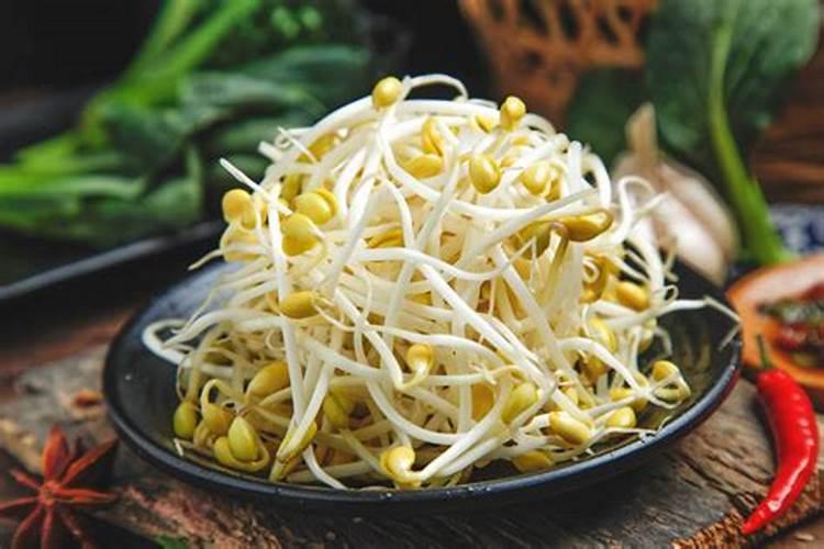 什么花可以用黄豆做肥料、有哪些花不能用黄豆肥