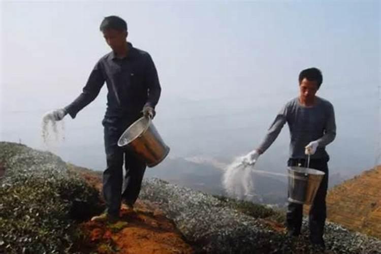 自制的有机肥酸碱度高怎么降低