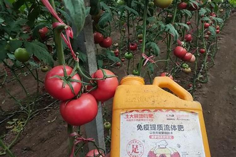 冲施的钙肥有哪些？