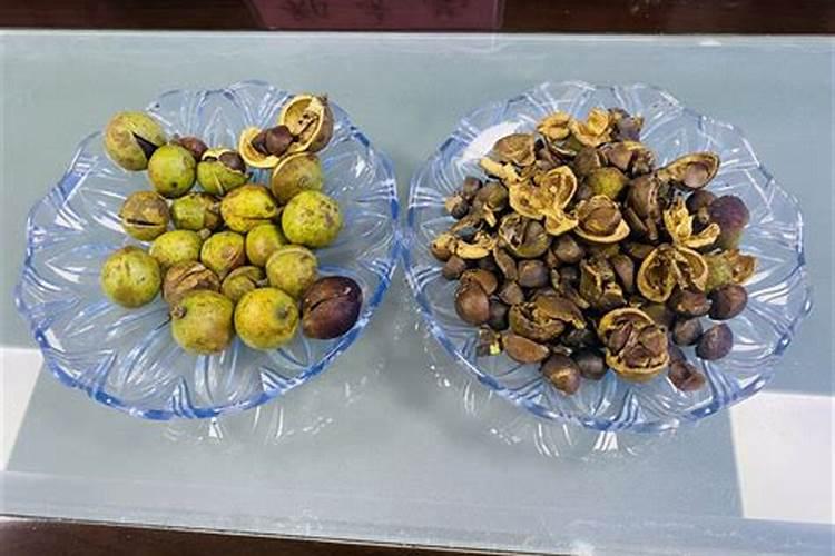 油茶果壳能发酵成有机肥吗？