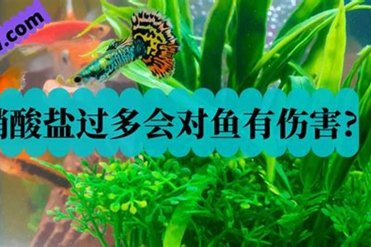 荷花缸中使用氮磷钾复合肥金鱼会不会死？