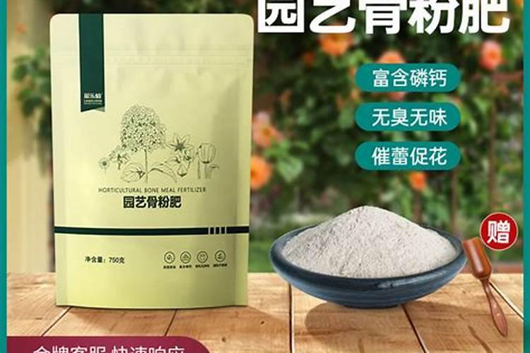 骨粉可以养花吗？