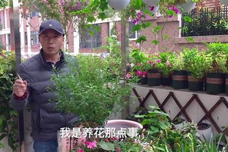 磷肥加什么浇花最好