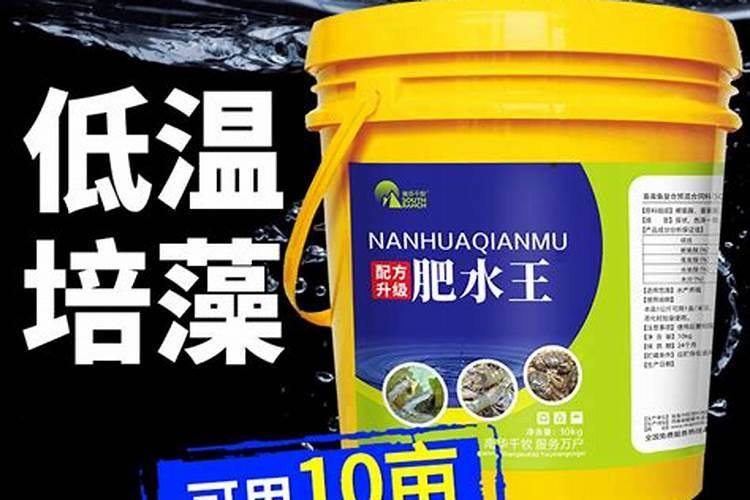 如何施肥月季才能开花