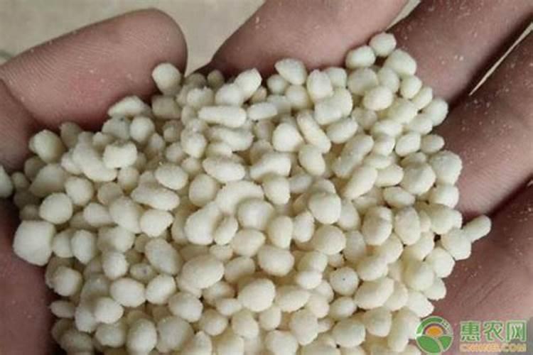 果树能用尿素施肥吗