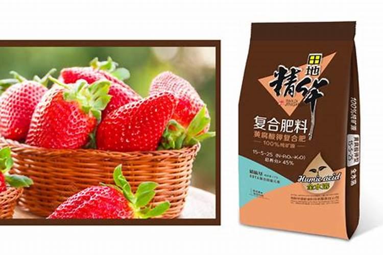 草莓苗什么时候要肥料？需要什么肥料？