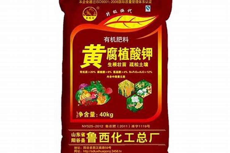 全国最大腐植酸生产厂家