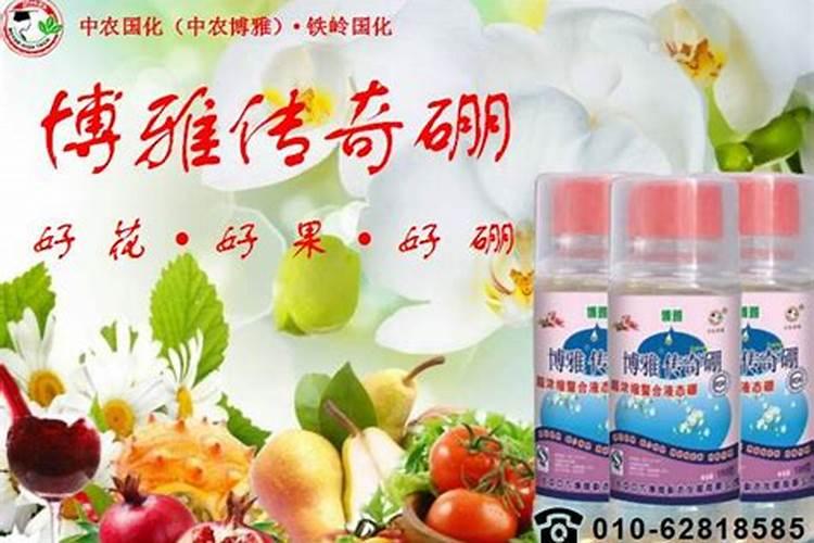 花生喷施硼肥的最佳时间