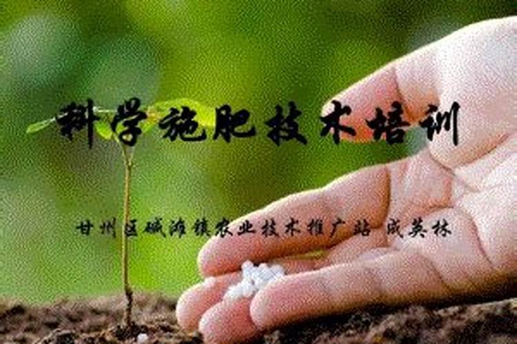 什么是科学施肥