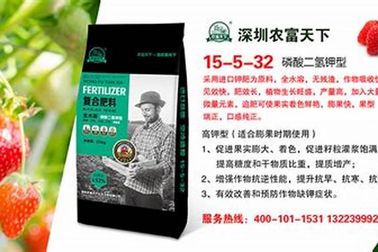 草莓怎么施肥和浇水