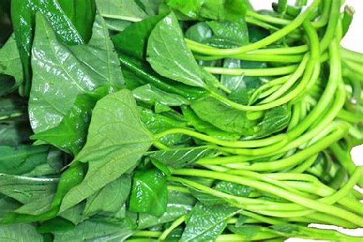 如何种植红薯 红薯的种植方法