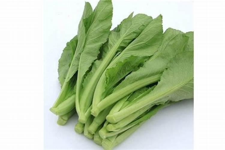 芥菜怎么了？用什么药好？