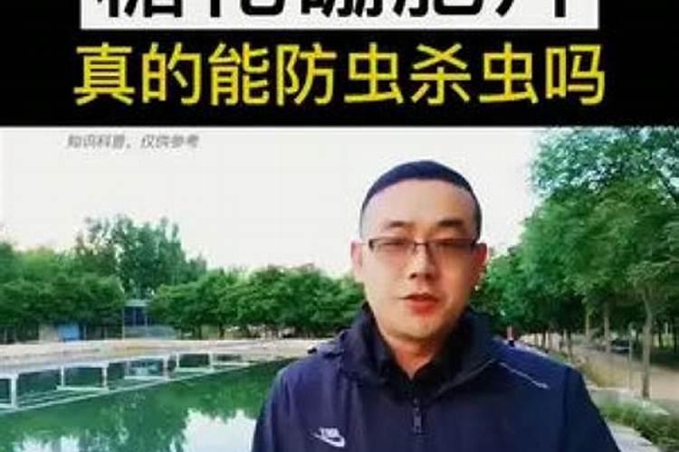 种植花生使用硼肥拌种,都会有哪些意想不到的收获？