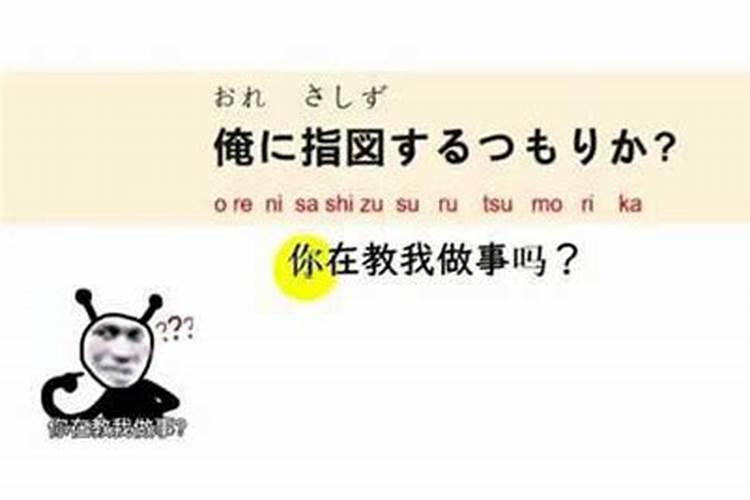 日语成分是什么意思啊？