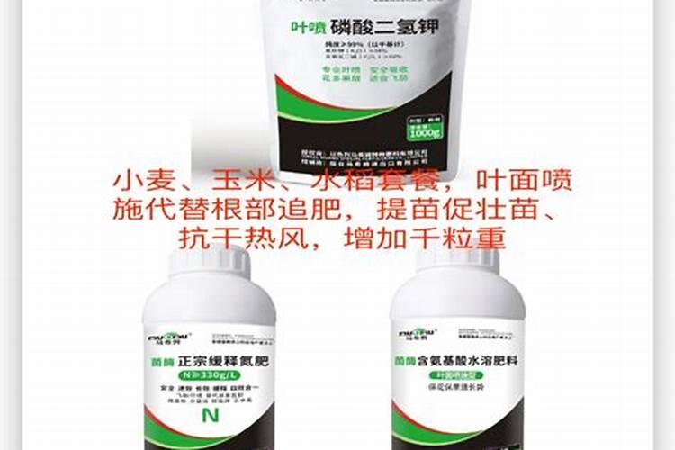给月季和栀子花咋样施磷酸二氢钾肥