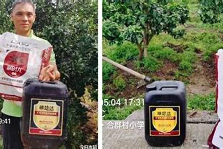 什么时候给果树上黄腐酸钾 作用是什么