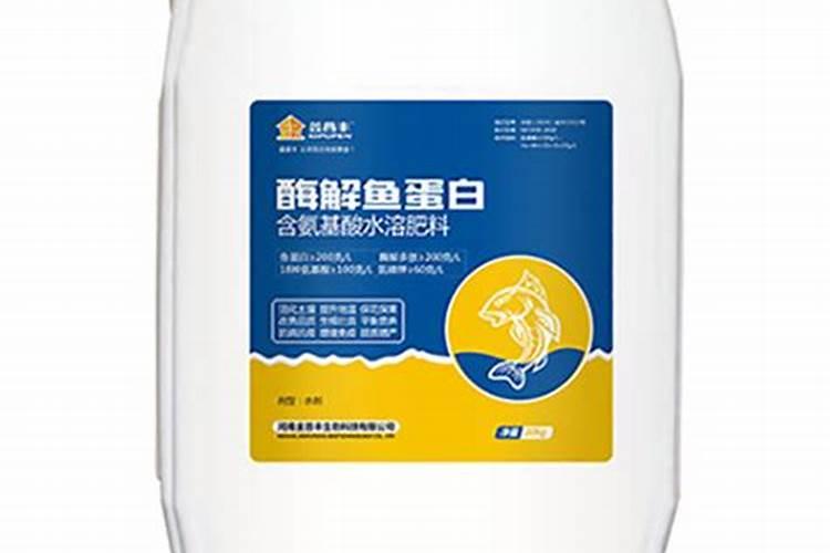 如何自制热带鱼鱼食？