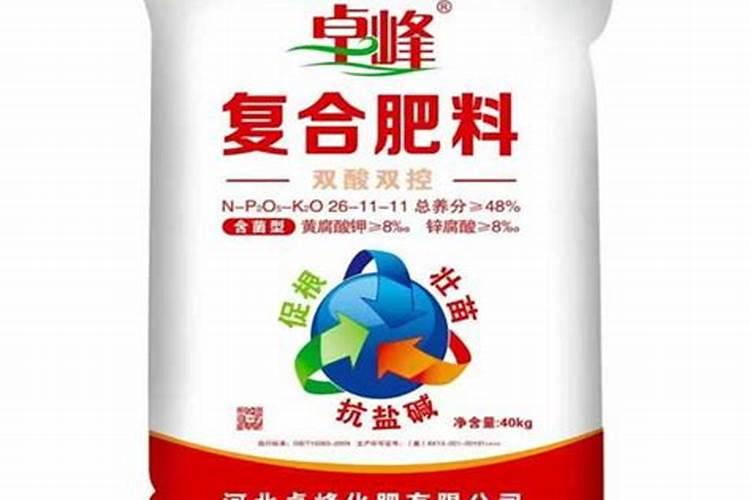 水上怎样种植空心菜？