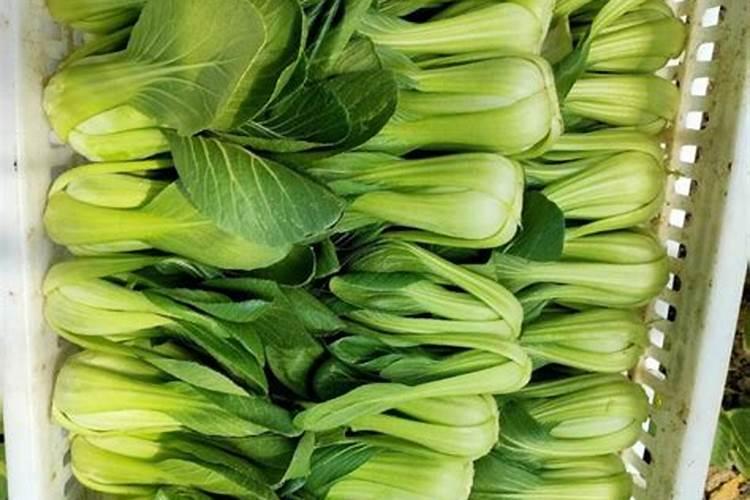 钾肥一亩地用多少斤