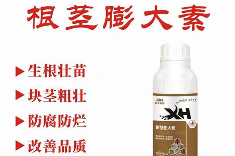 蔬菜种植缺硼有什么症状？如何正确补硼？