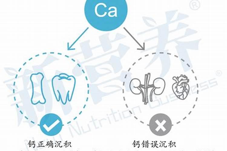 您认为应该怎样补钙可以促进农作物吸收达到高效？