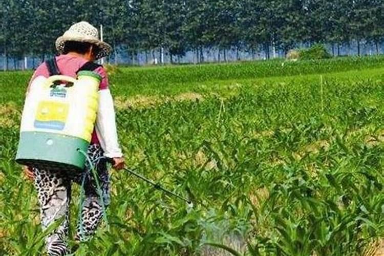 大量元素水溶肥怎么施用