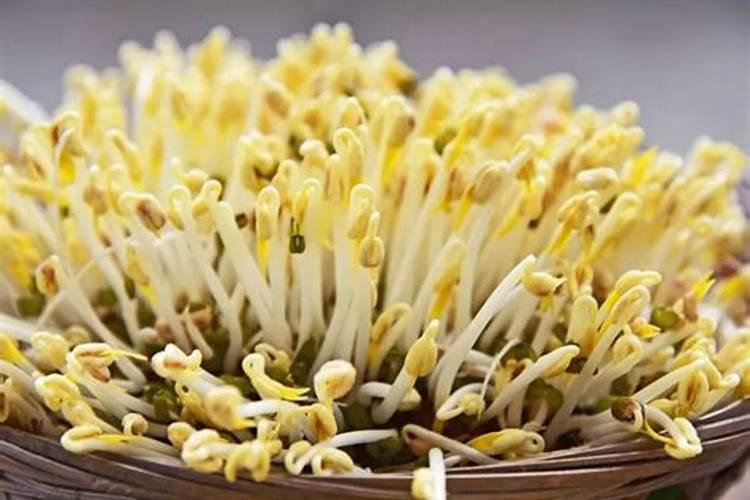 海水小鱼小虾可以做肥料种菜吗？