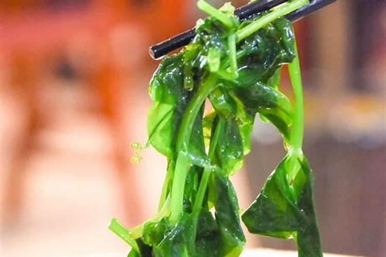 “鱼菜共生”循环系统,有鱼有菜,孩子最爱