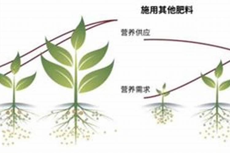 控释肥怎么辨别真假